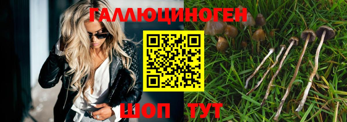 Полевской  Псилоцибиновые грибы Magic Shrooms  Вход с VPN 